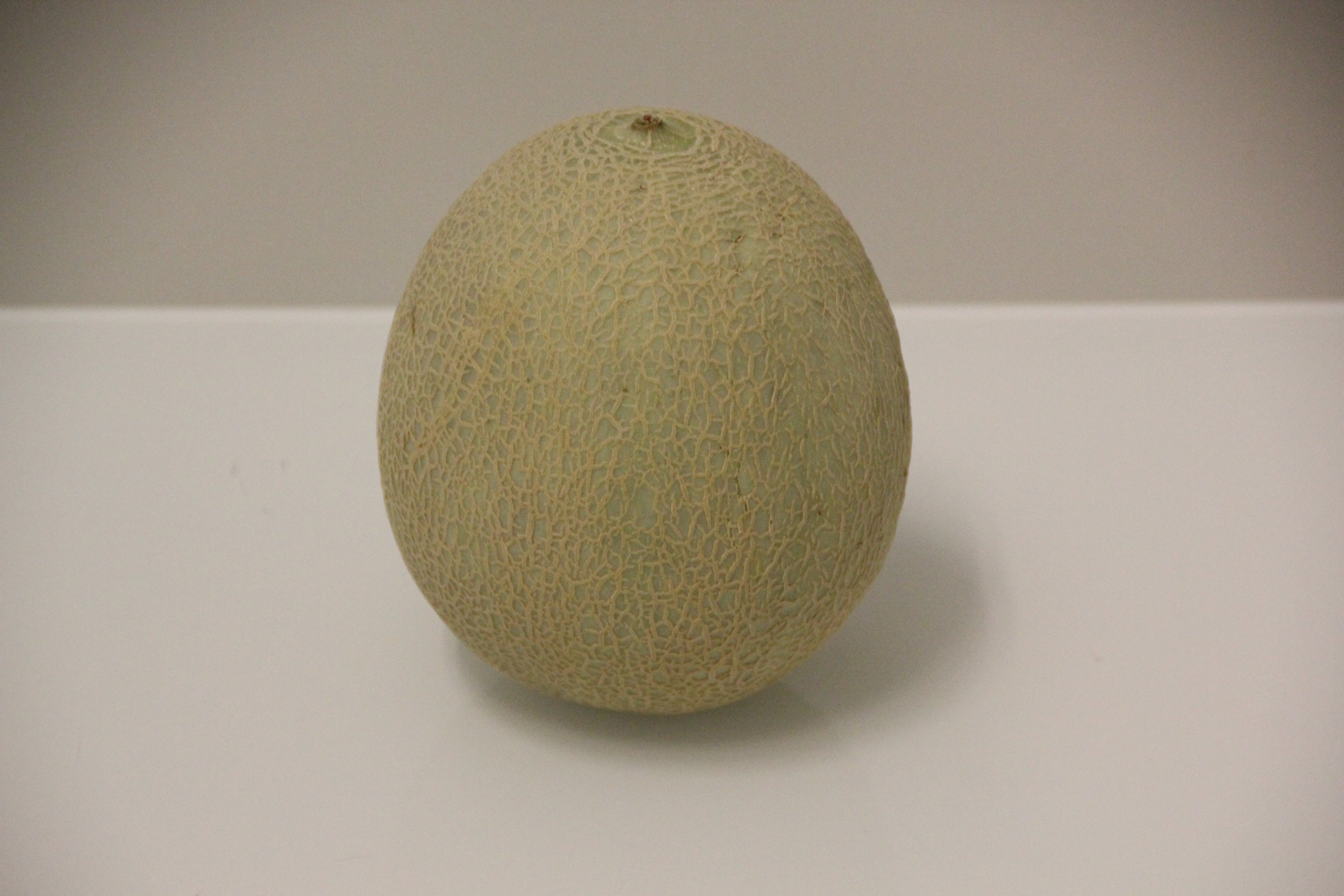 Melonen: Galiamelone (Stk.)