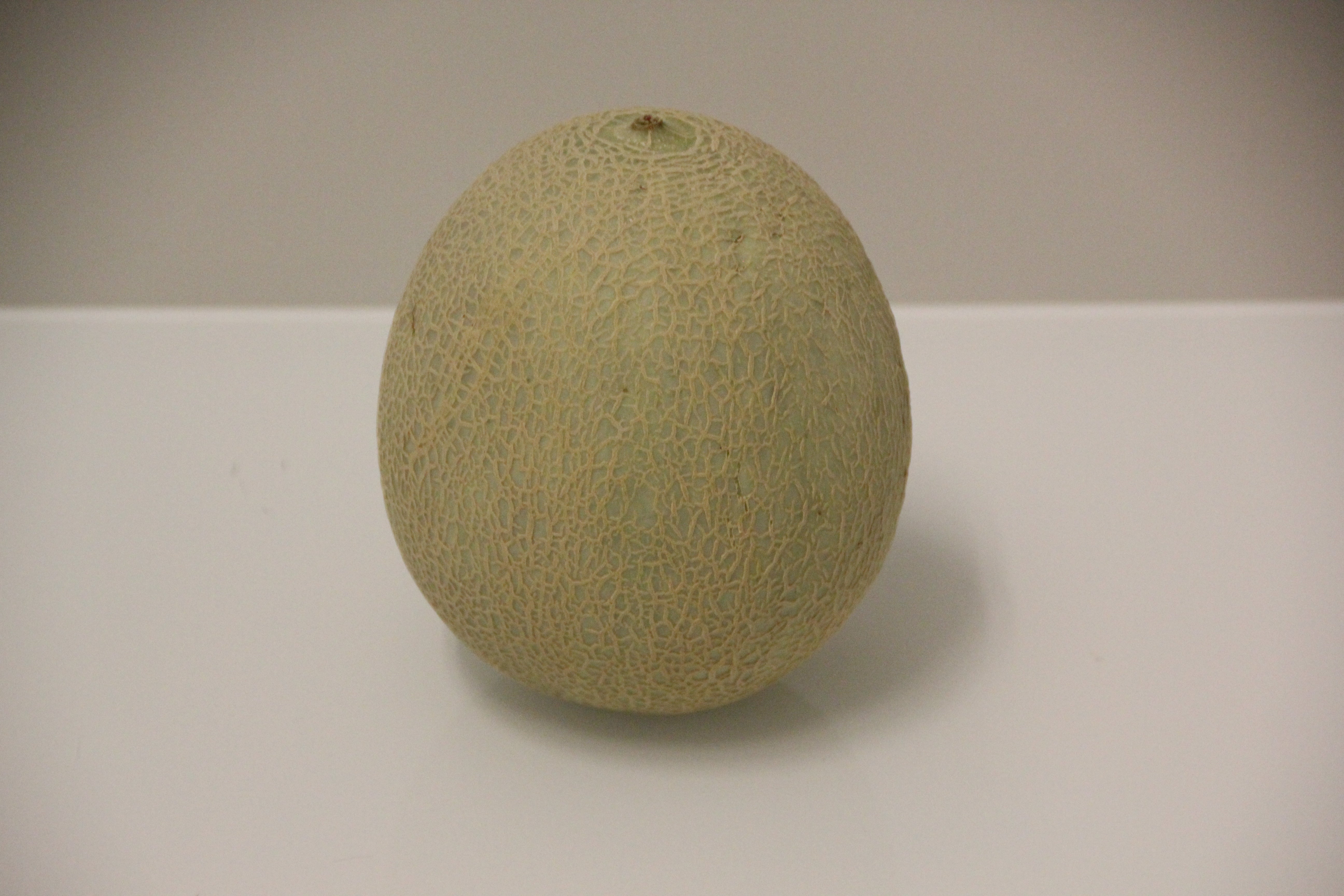 galiamelone aufbewahren Melonen: Galiamelone (Stk.)