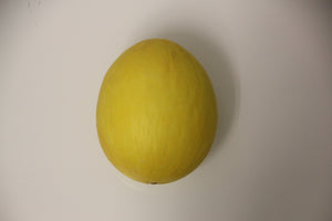 Melonen: Honigmelone (Stk.)