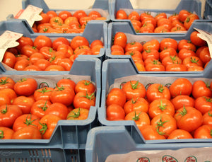 Tomaten (500g)