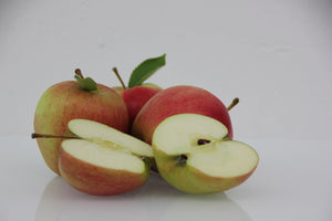 Apfel Wellant (Stück)