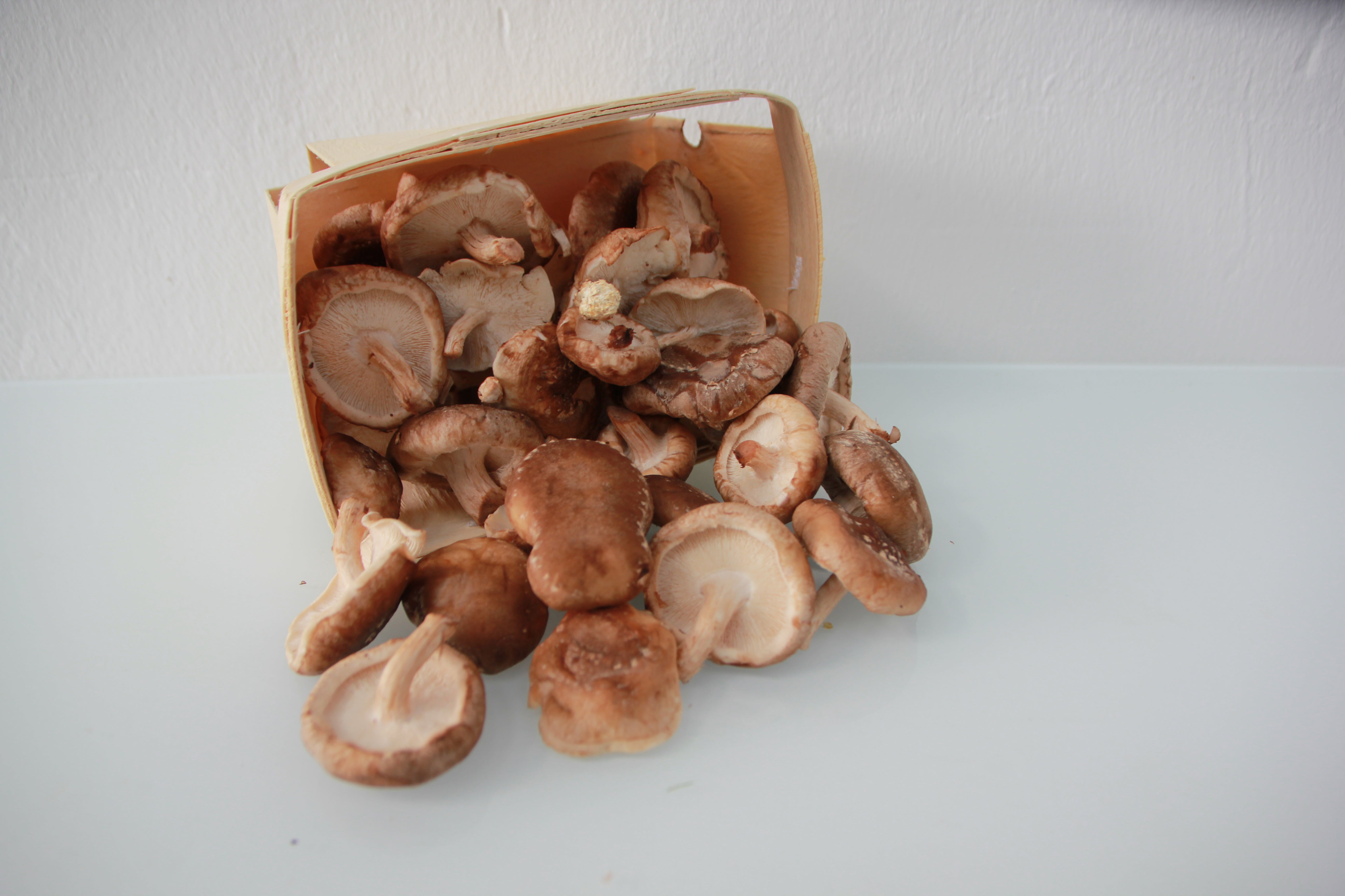 Pilze: Shiitake Pilze (250g)