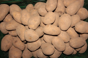 Kartoffeln (mehlig) 2,5 Kg