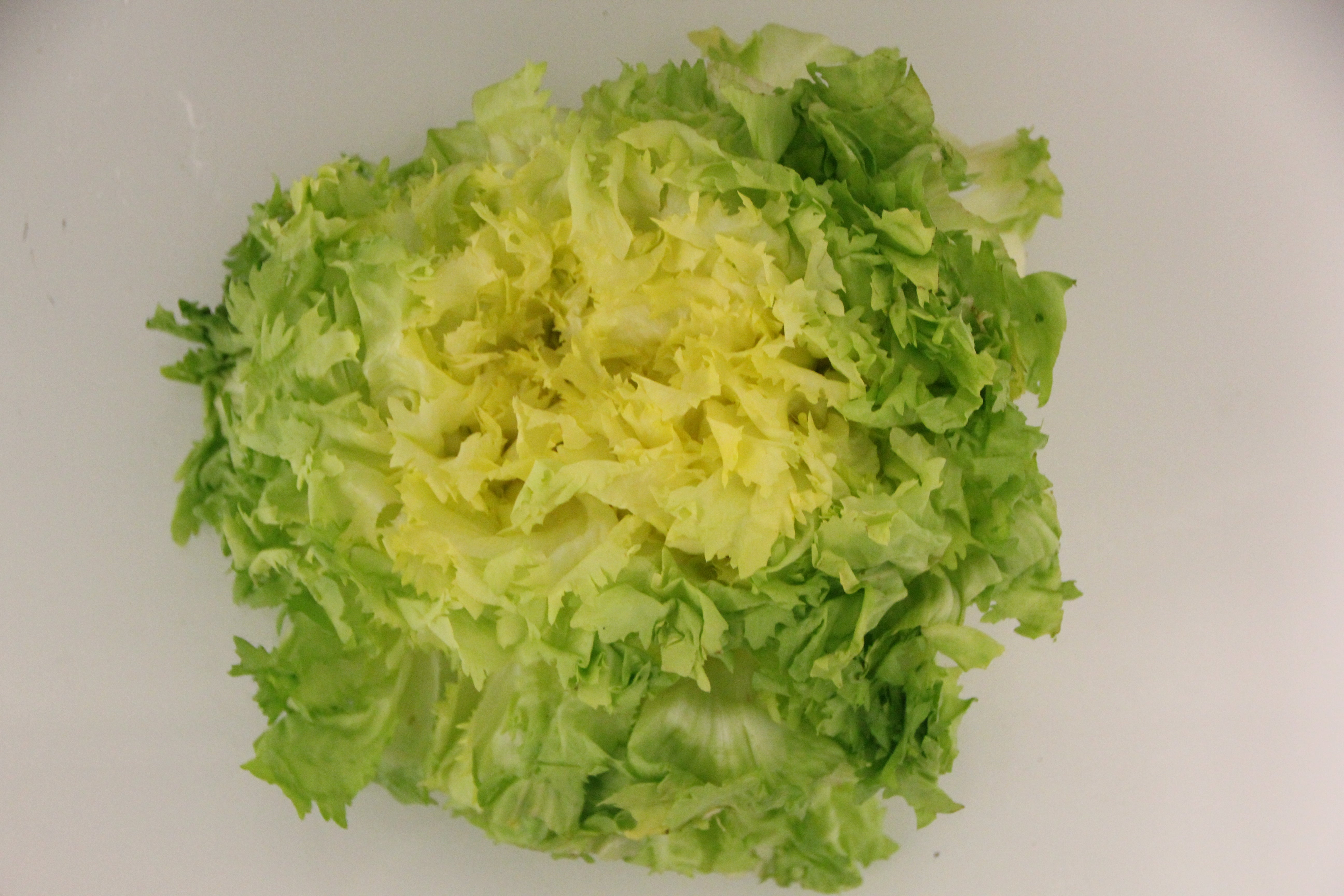 Salat: Endiviensalat (Stk.)