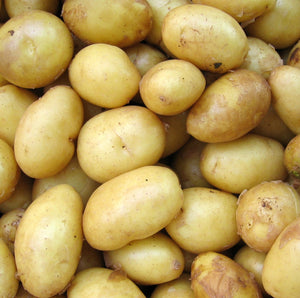 Kartoffeln: Drillinge (kleine Kartoffeln - 1kg)