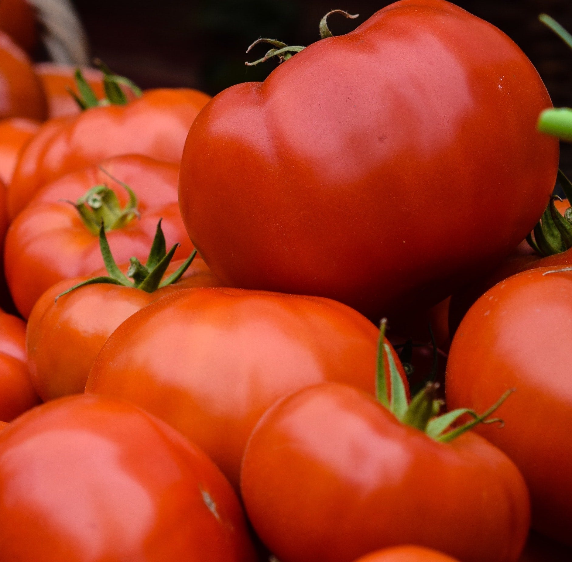 Tomaten: Fleischtomaten (500g)