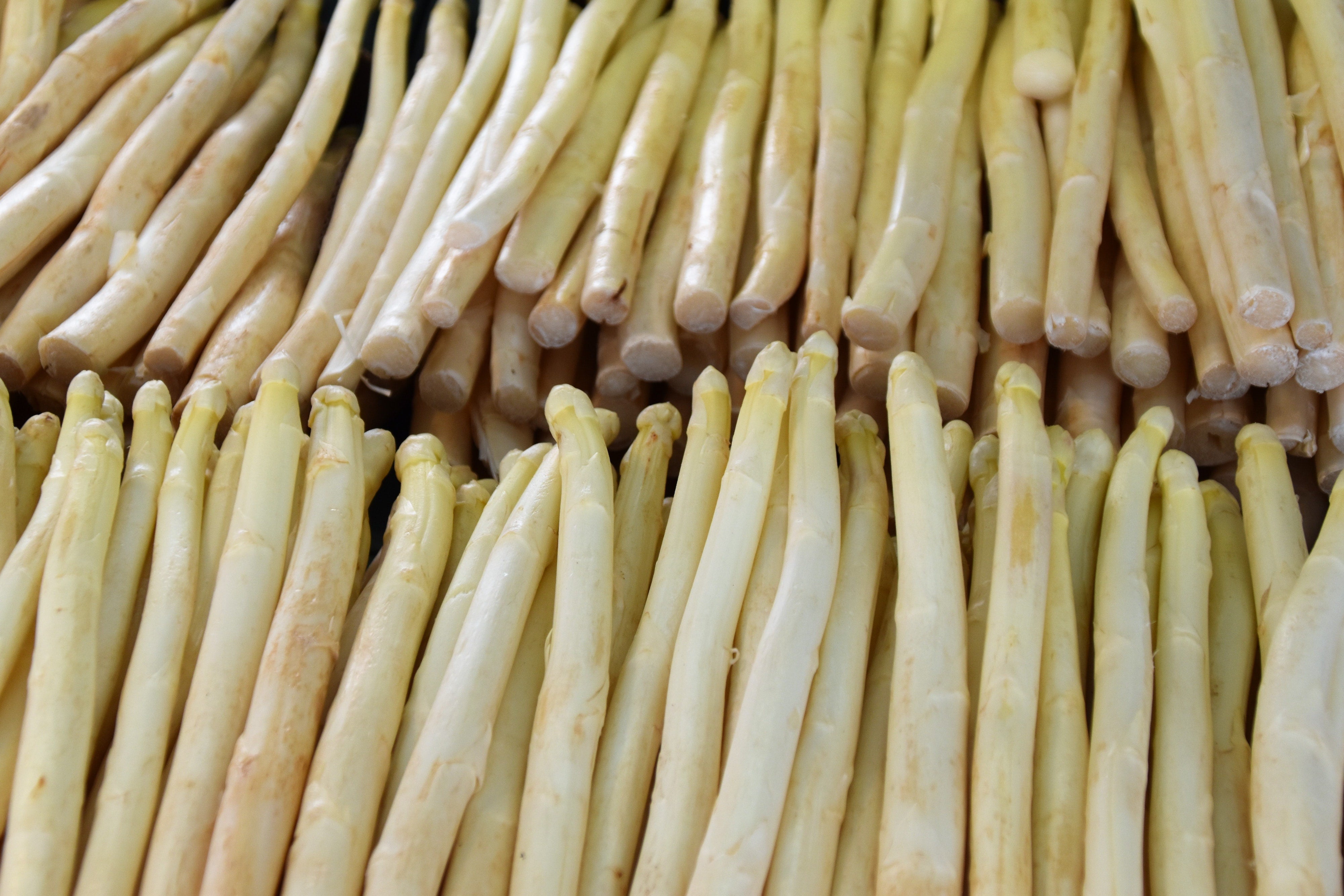 Spargel weiß (1kg)